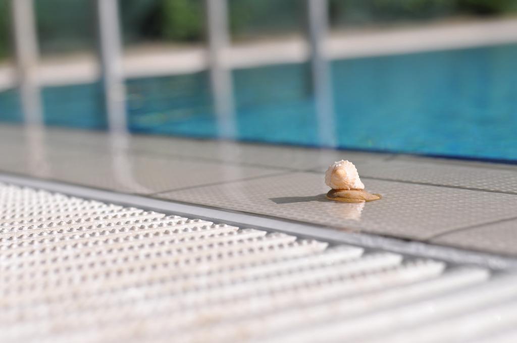 Aqua Wellness Apartments Гайдусобосло Номер фото